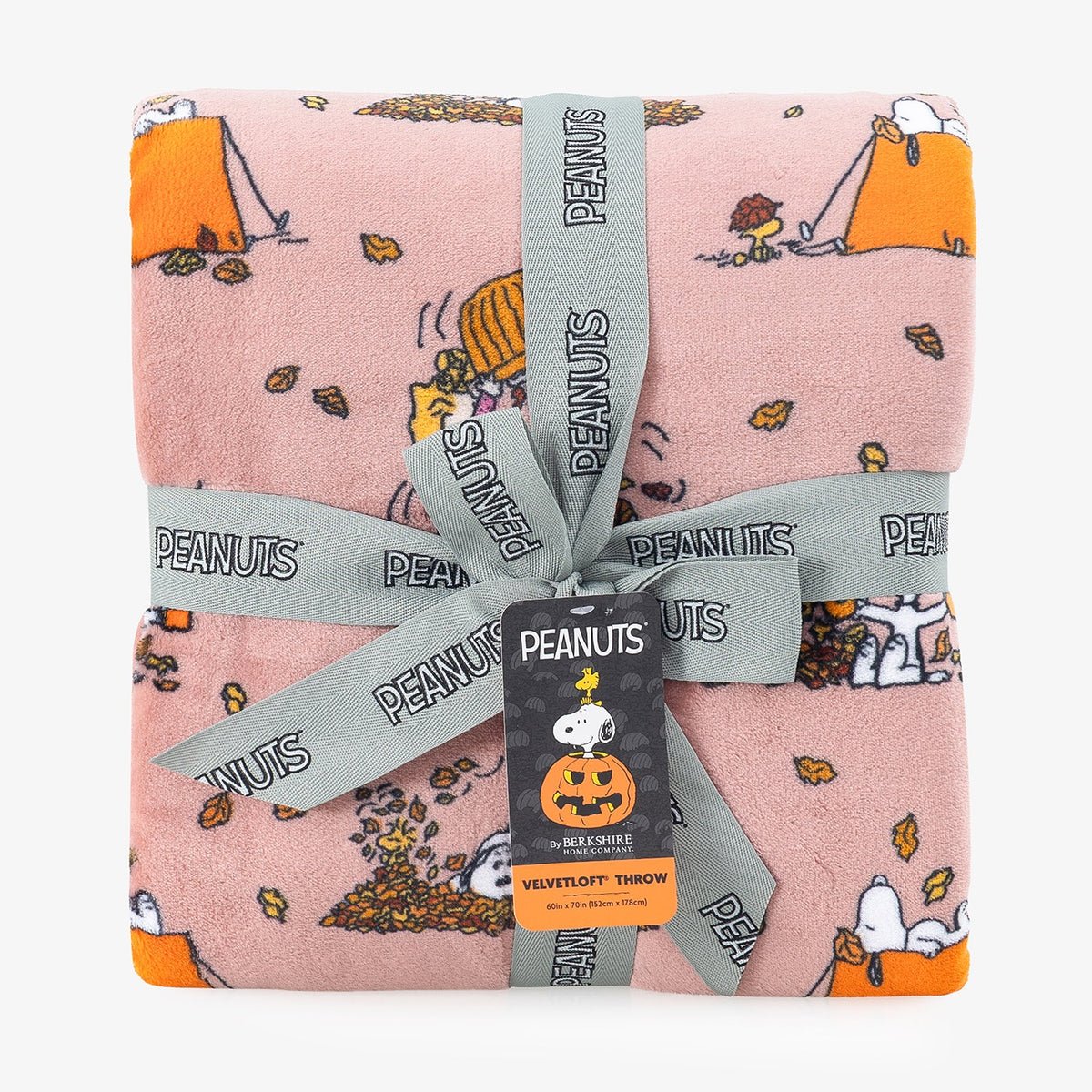 Peanuts® VelvetLoft® Throw