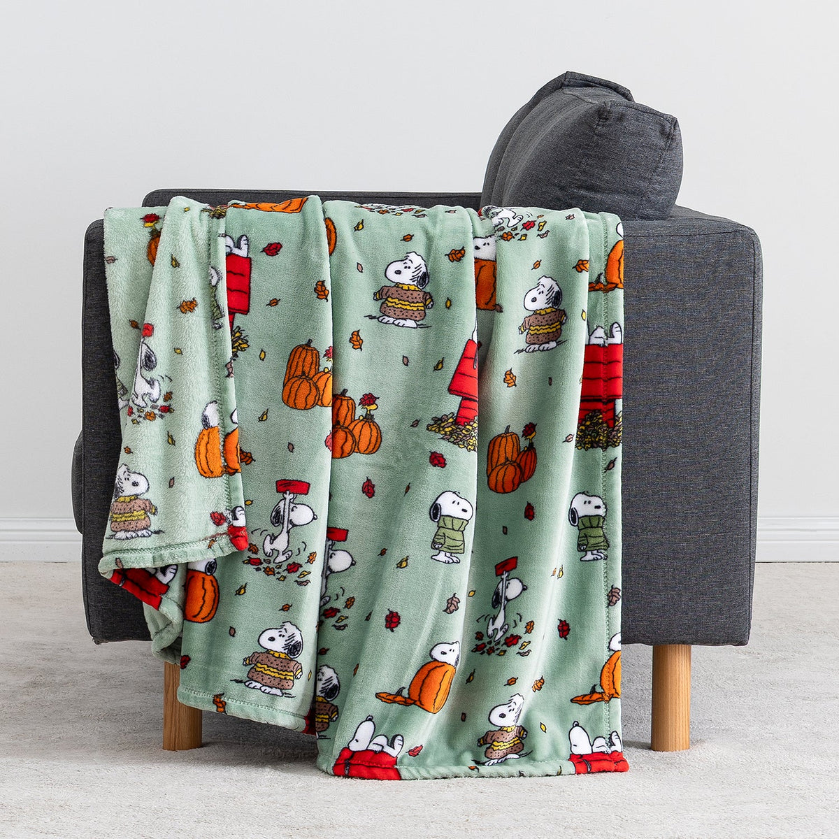 Peanuts® VelvetLoft® Throw