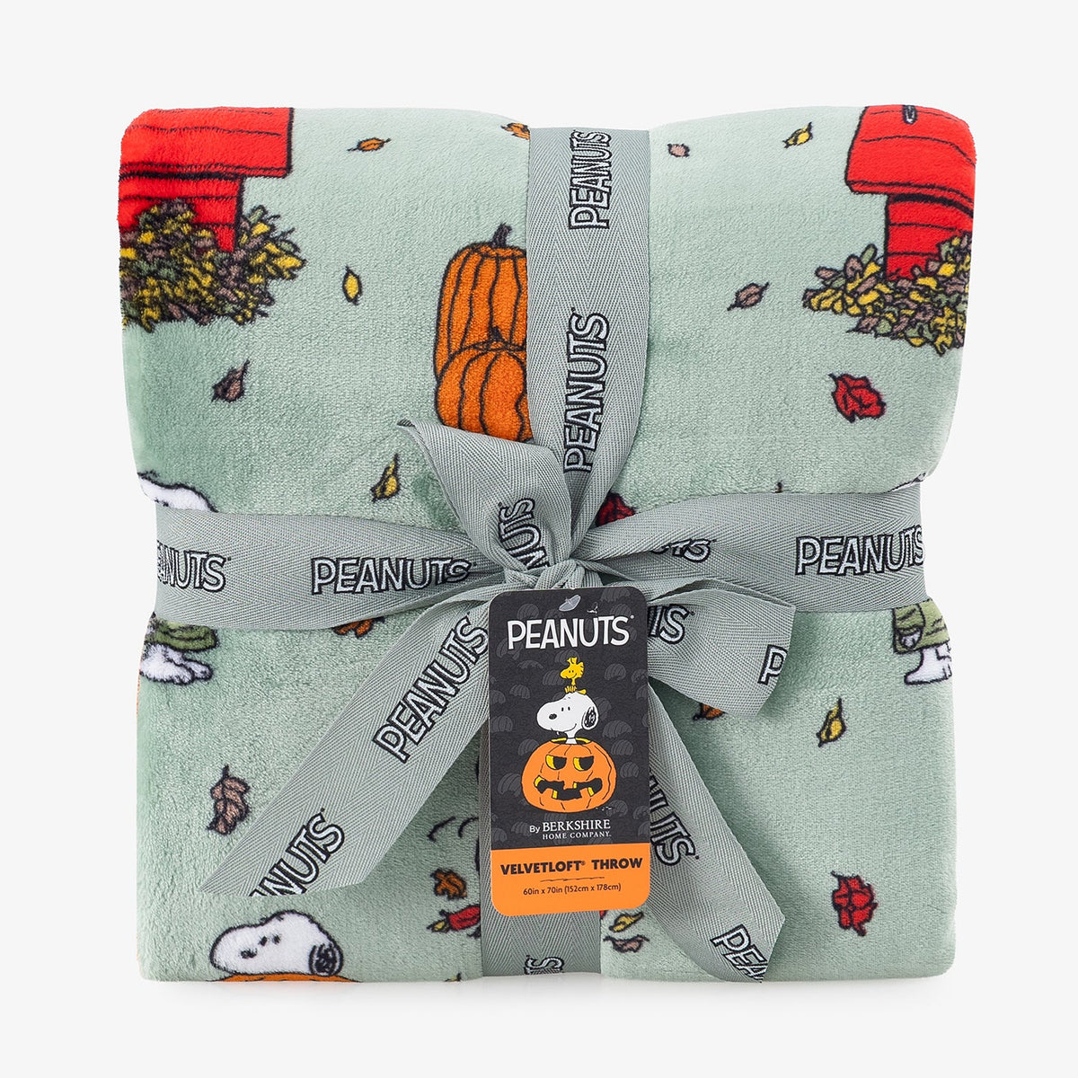 Peanuts® VelvetLoft® Throw