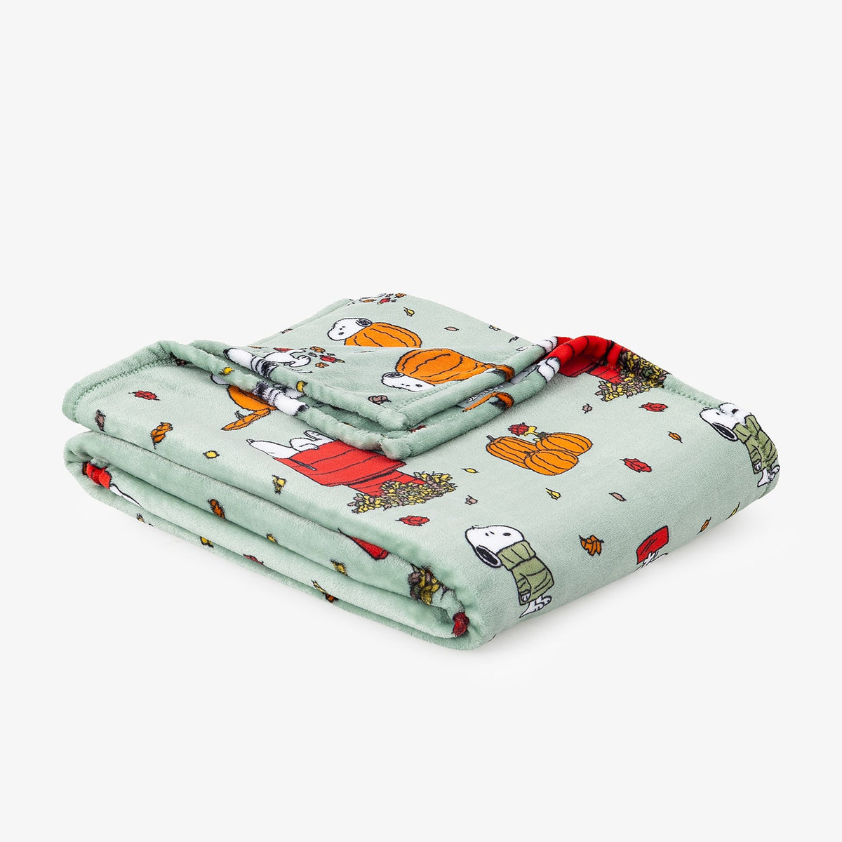 Peanuts® VelvetLoft® Throw