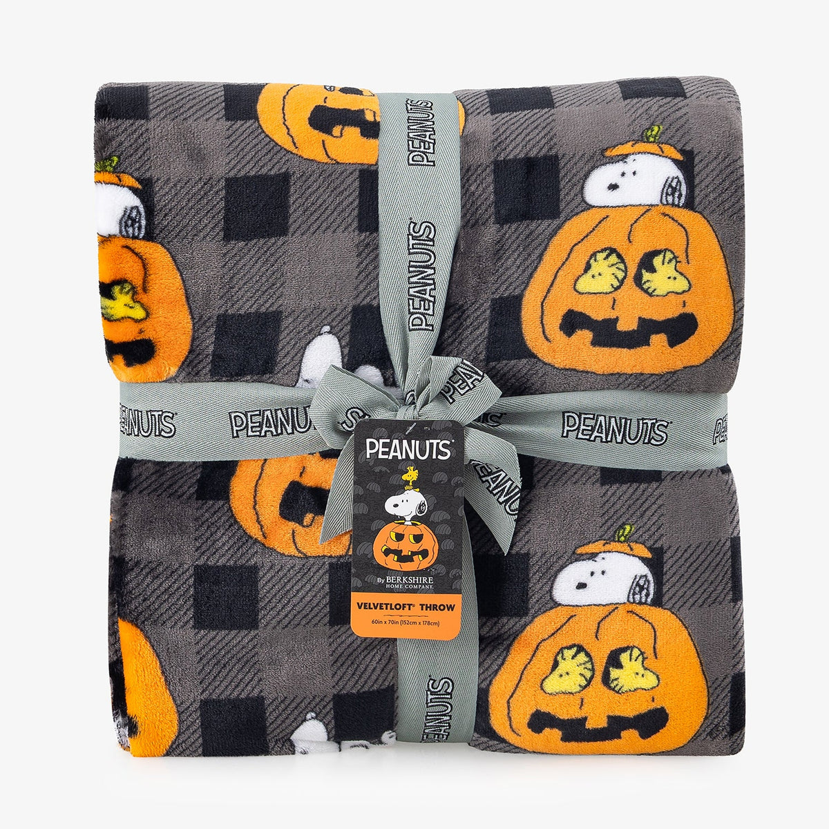 Peanuts® VelvetLoft® Throw