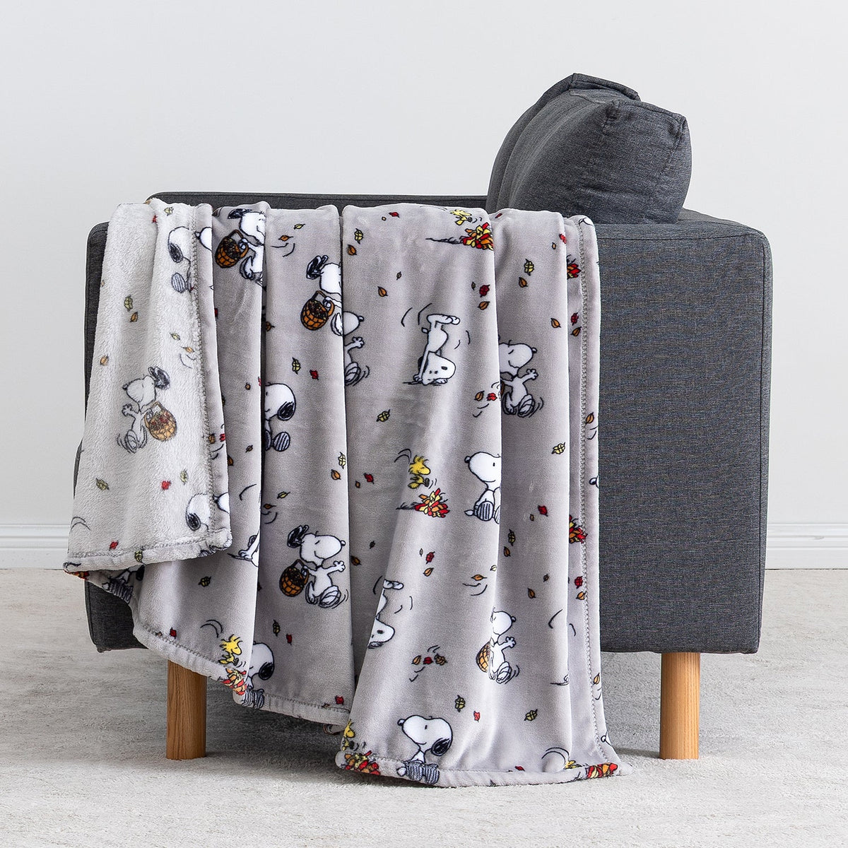 Peanuts® VelvetLoft® Throw