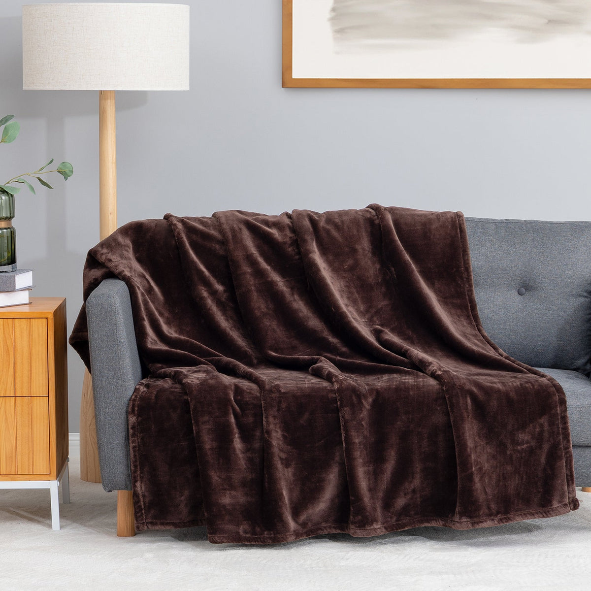 Premium VelvetLoft® Throw