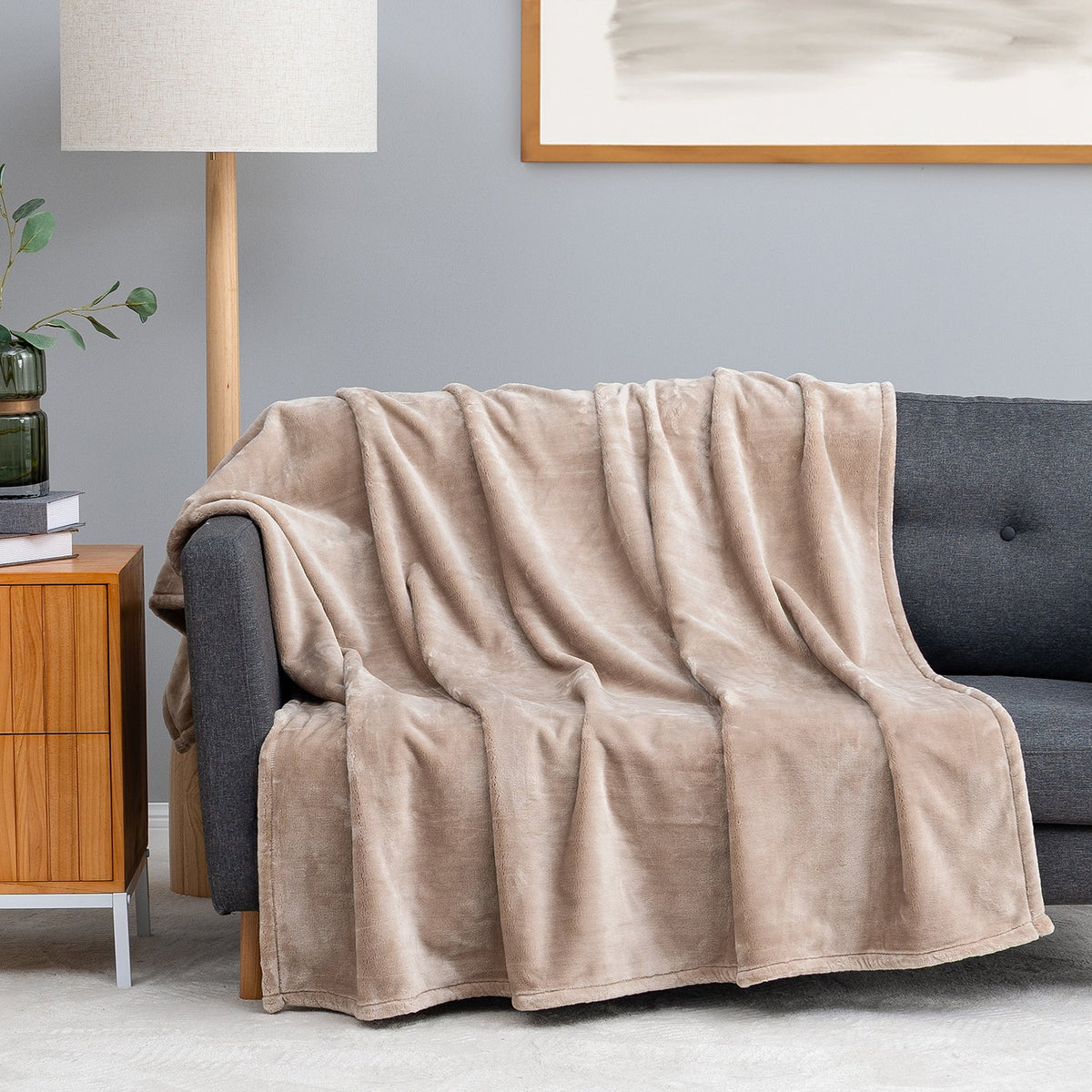 Premium VelvetLoft® Throw